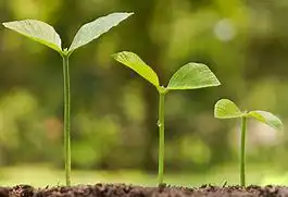 Доходность по вкладам начала расти